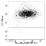 BD Accutase Cell Detachment Solution