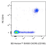 BD BV650 Rat Anti-Human CXCR5 (CD185)