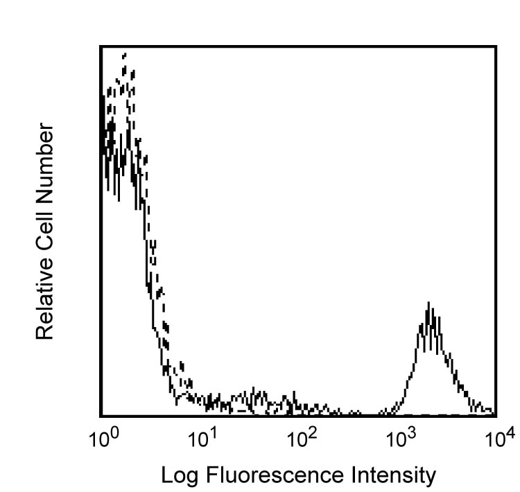 BD PE Mouse Anti-Human CD20