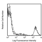 BD PE Mouse Anti-Human CD20