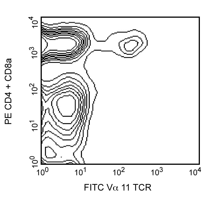 BD FITC Rat Anti-Mouse Vα 11.1, 11.2[b,d] TCR