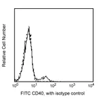 BD FITC Mouse Anti-Human CD40