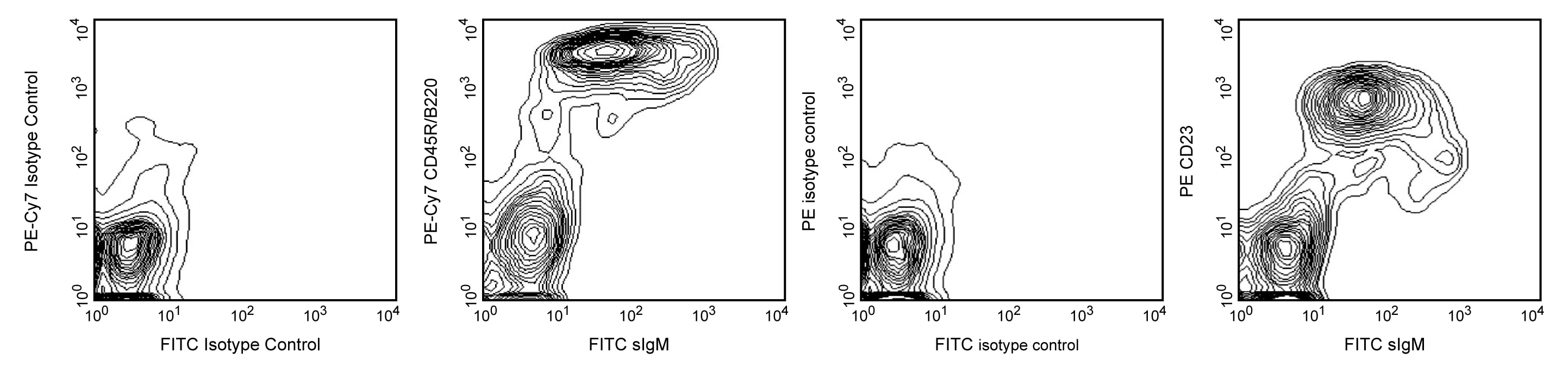 BD Mouse B Lymphocyte Subset Antibody Cocktail, with Isotype Control; PE-Cy7 CD45R/B220, PE CD23 (FcεRII), and FITC sIgM
