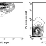 BD Mouse B Lymphocyte Subset Antibody Cocktail, with Isotype Control; PE-Cy7 CD45R/B220, PE CD23 (FcεRII), and FITC sIgM