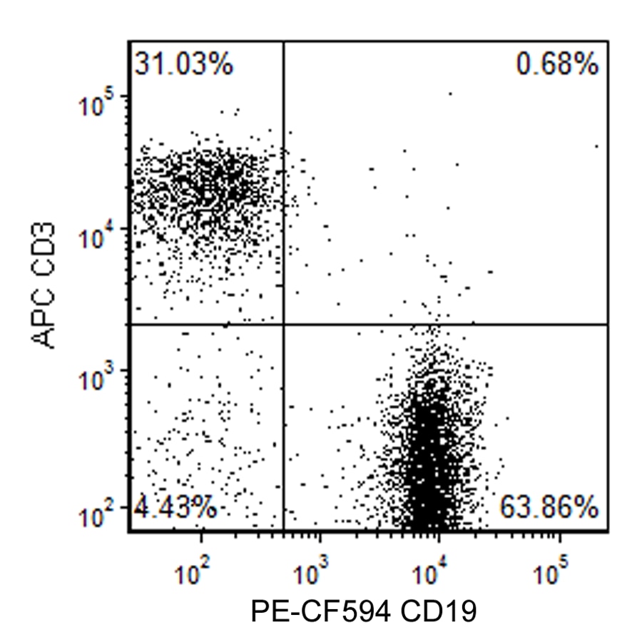 BD PE-CF594 Rat Anti-Mouse CD19