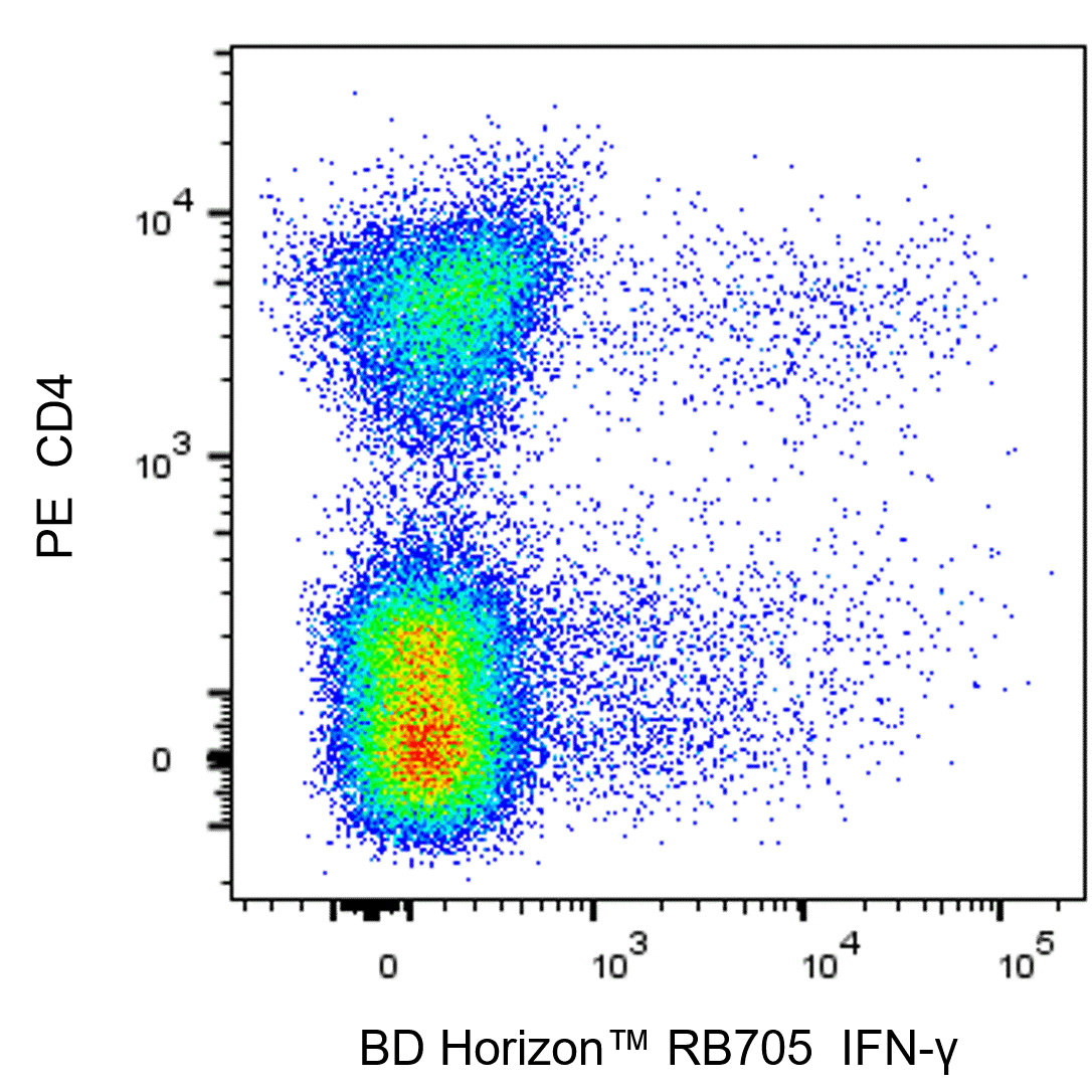BD RB705 Rat Anti-Mouse IFN-γ