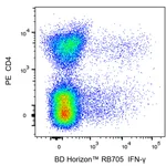 BD RB705 Rat Anti-Mouse IFN-γ
