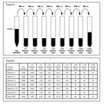 BD Mouse Th1/Th2/Th17 Cytokine Standards