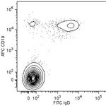 BD BB515 Mouse Anti-Human IgD