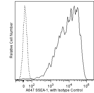 BD Alexa Fluor® 647 Mouse Anti-SSEA-1