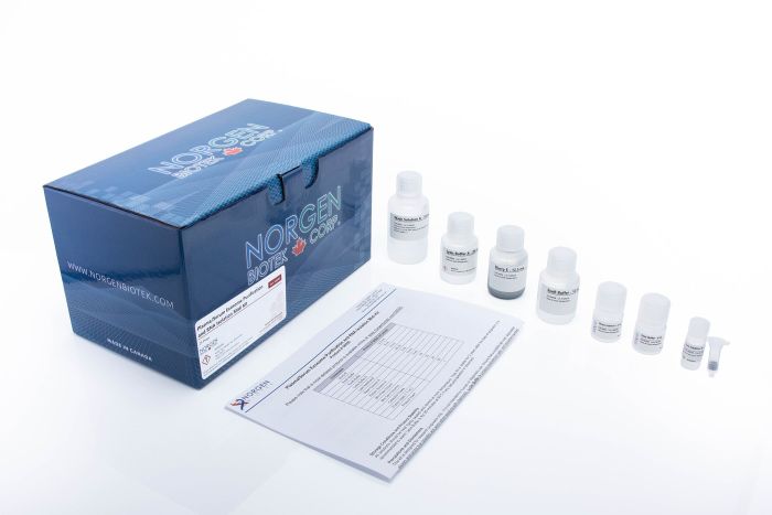 Norgen Plasma/Serum Exosome Purification and RNA Isolation Midi Kit