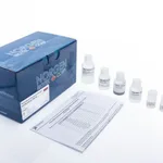 Norgen Plasma/Serum Exosome Purification and RNA Isolation Midi Kit