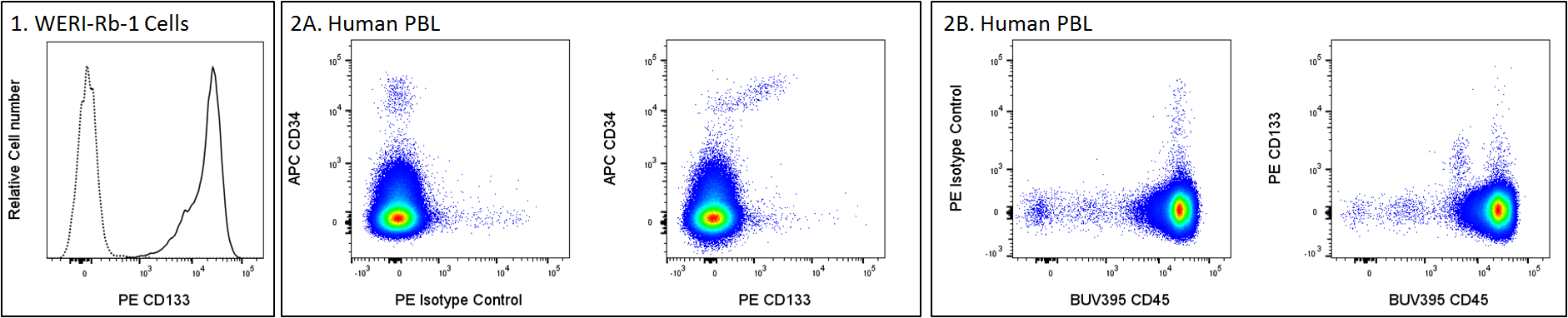 BD PE Mouse Anti-Human CD133