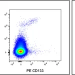 BD PE Mouse Anti-Human CD133