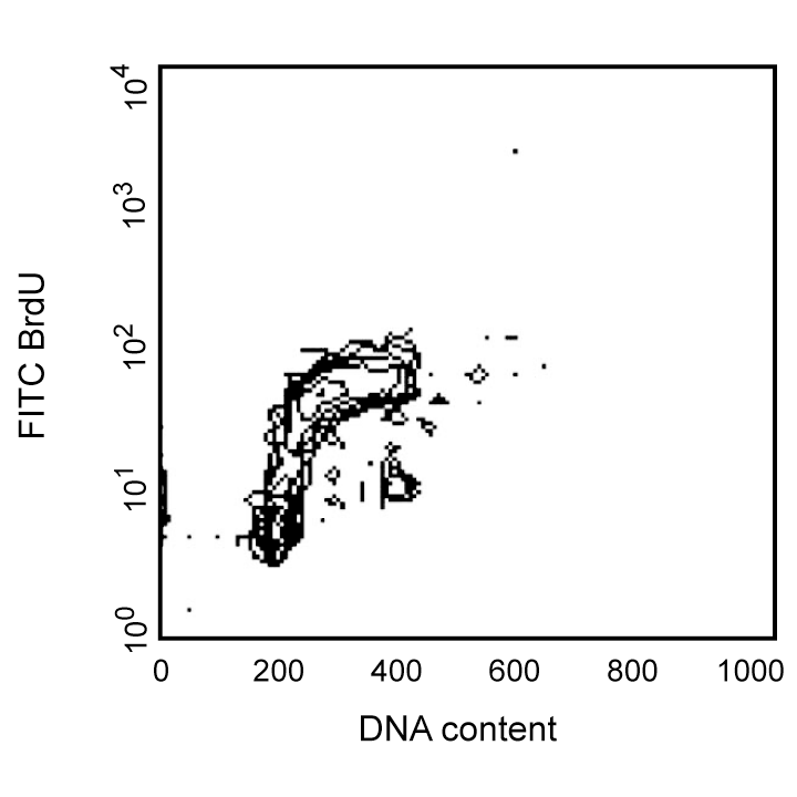 BD FITC Mouse Anti- BrdU Set