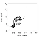BD FITC Mouse Anti- BrdU Set