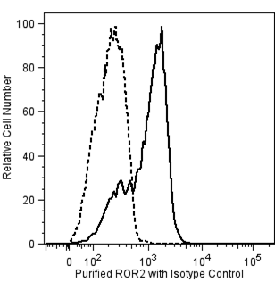 BD Purified Mouse Anti-ROR2