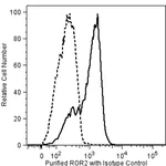 BD Purified Mouse Anti-ROR2