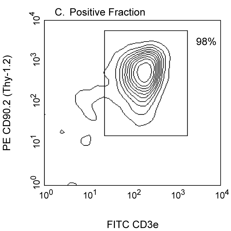 BD Anti-Mouse CD90.2 Magnetic Particles - DM