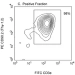BD Anti-Mouse CD90.2 Magnetic Particles - DM
