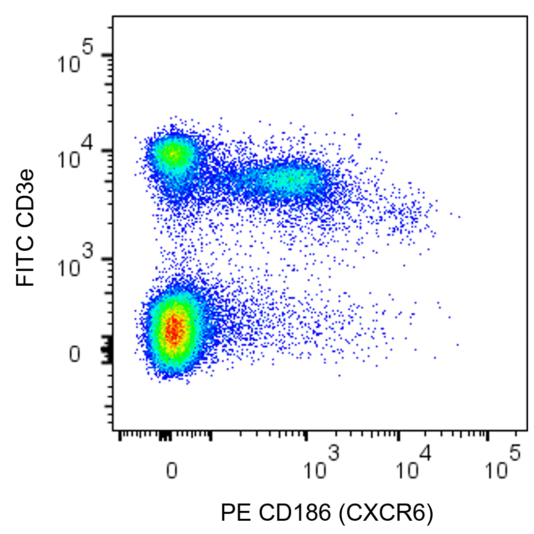 BD PE Rat Anti-Mouse CD186 (CXCR6)