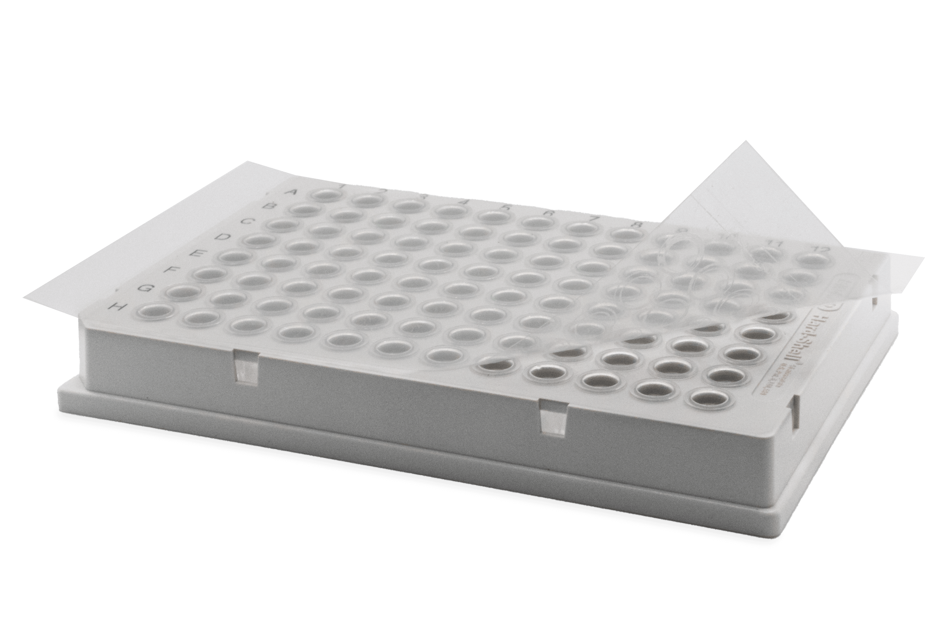 EXCEL SCIENTIFIC ThermalSeal RT2