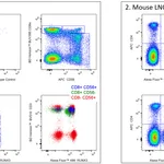 BD Alexa Fluor 488 Mouse Anti-RUNX3