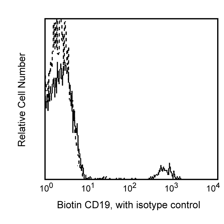 BD Biotin Mouse Anti-Human CD19
