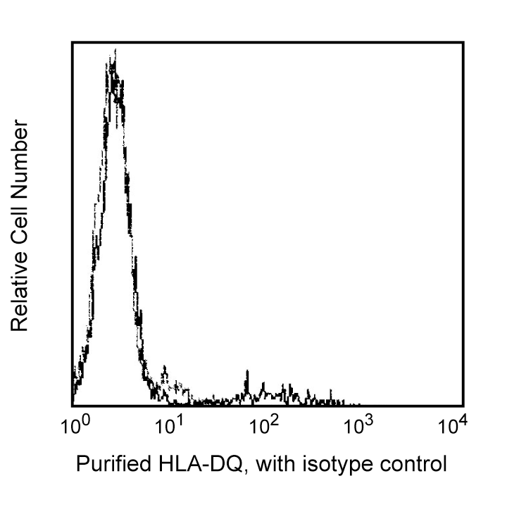 BD Purified Mouse Anti-Human HLA-DQ