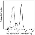 BD RY775 Mouse Anti-Stat1 (pY701)