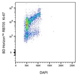 BD RB705 Mouse Anti-Ki-67