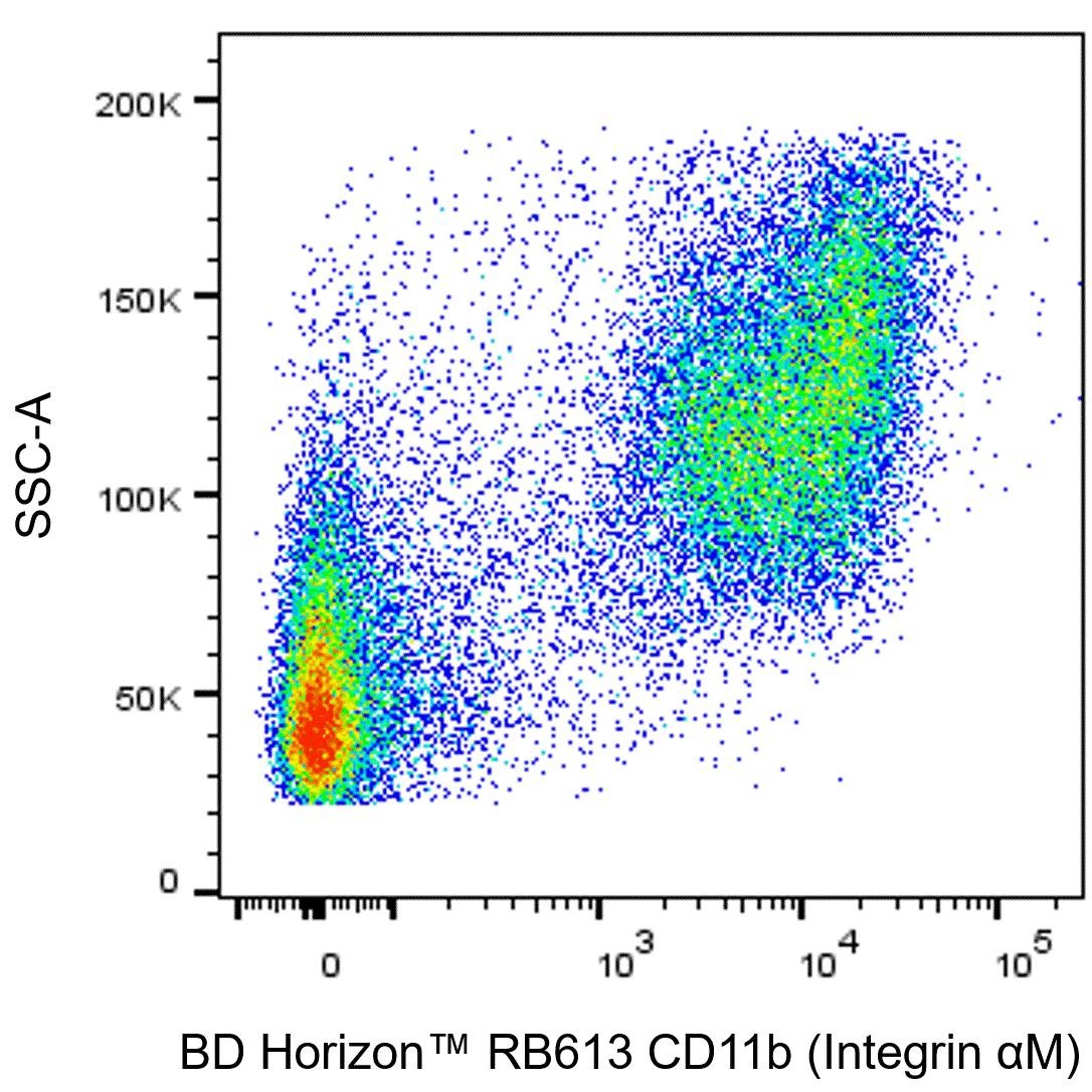 BD RB613 Rat Anti-CD11b (Integrin αM)