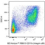BD RB613 Rat Anti-CD11b (Integrin αM)