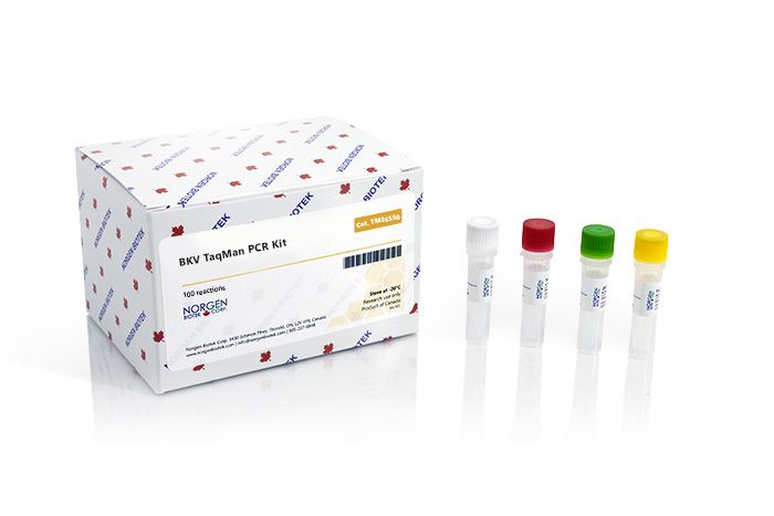 Norgen BKV TaqMan PCR Detection Kits