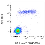 BD RB545 Mouse Anti-Human CD24