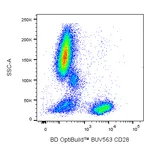 BD BUV563 Mouse Anti-Human CD28