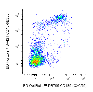 BD RB705 Rat Anti-Mouse CD185 (CXCR5)