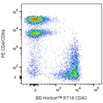 BD R718 Rat Anti-Mouse CD40