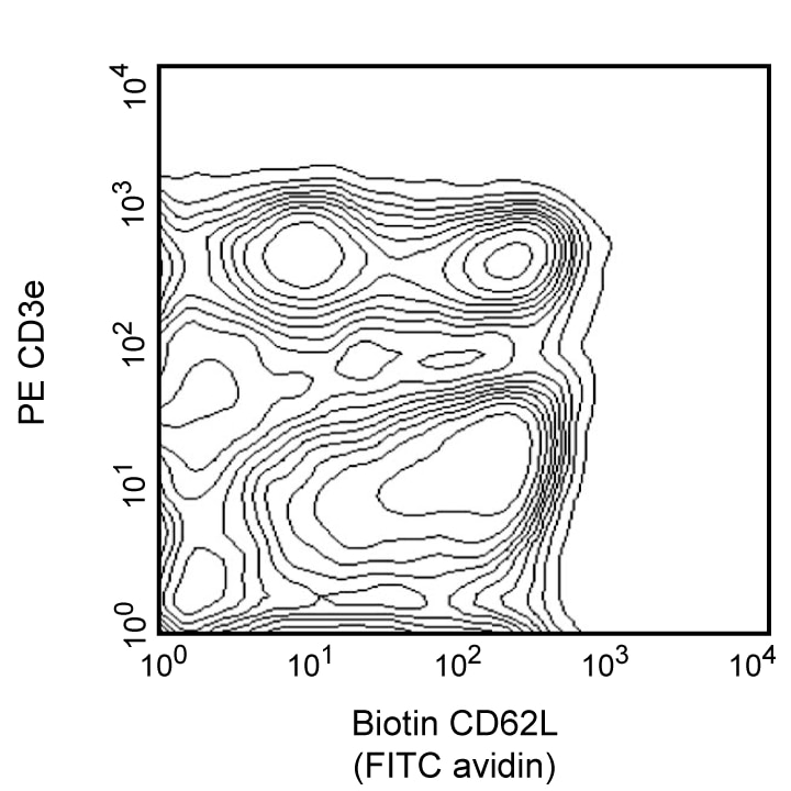 BD Biotin Rat Anti-Mouse CD62L