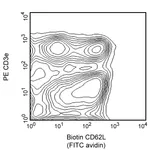 BD Biotin Rat Anti-Mouse CD62L