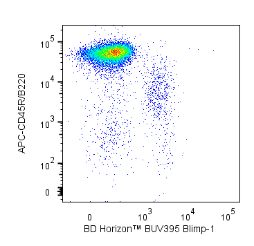 BD BUV395 Rat Anti-Mouse Blimp-1