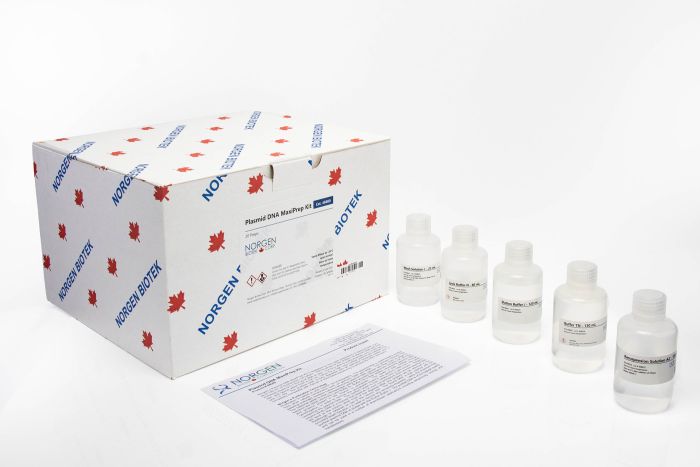 Norgen Plasmid DNA MaxiPrep Kit