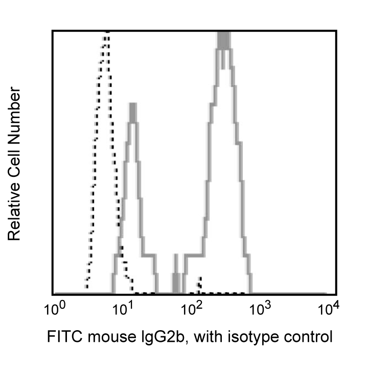 BD FITC Rat Anti-Mouse IgG2b
