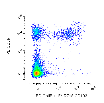 BD R718 Rat Anti-Mouse CD103