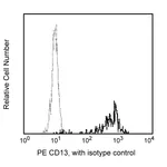 BD PE Mouse Anti-Human CD13