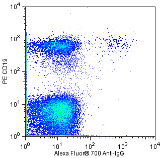 BD Alexa Fluor® 700 Mouse Anti-Human IgG