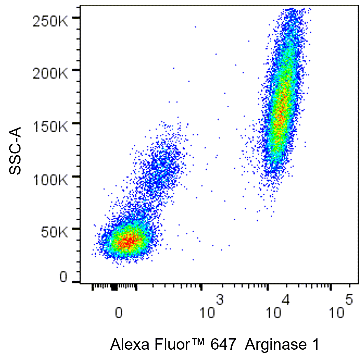 BD Alexa Fluor 647 Mouse Anti-Human Arginase 1