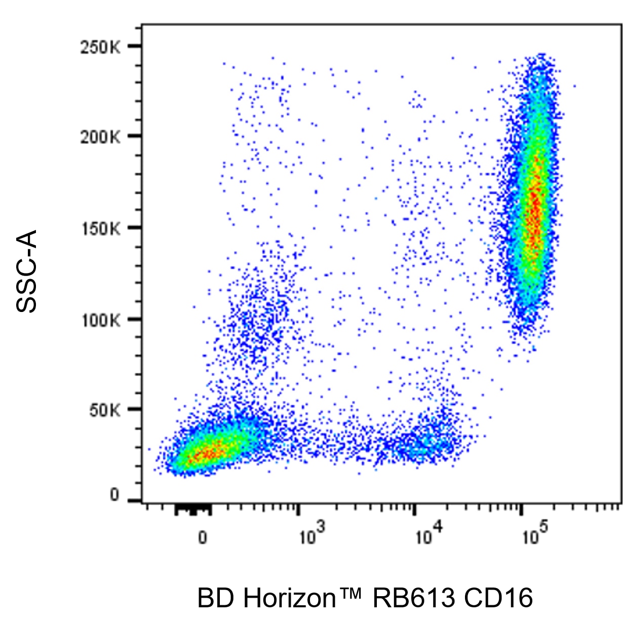 BD RB613 Mouse Anti-Human CD16