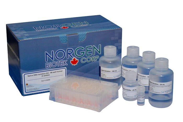 Norgen Saliva DNA Isolation 96-Well Kit