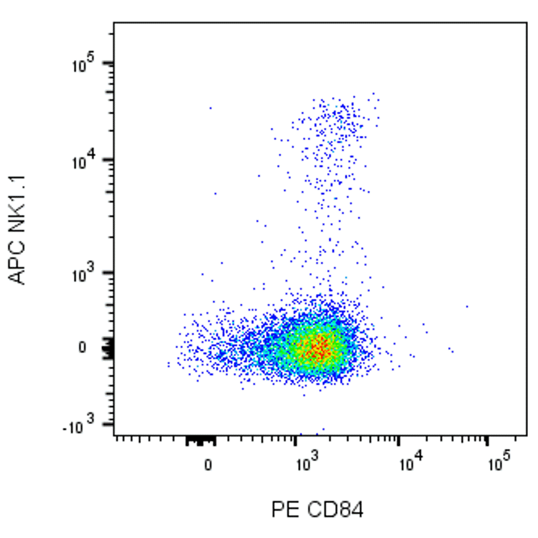 BD PE Rat Anti-Mouse CD84